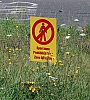 HPIM4657.JPG